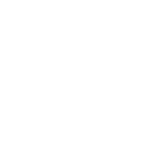 lilo logo